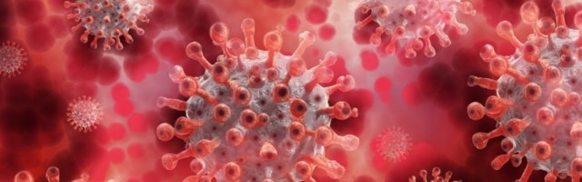 Četvrtina novozaraženih u Beogradu, trocifren broj inficiranih i u Novom Sadu