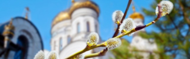 Kubat piše za Direktno: Tradicija - dinamička stvarnost ili „kamen oko vrata“