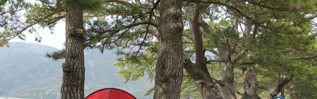 Mursija u Španiji beleži rekordan broj kampovanja u januaru