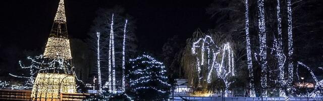 Počinje "Ledena šuma" u Dunavskom parku: Klizanje, Dečija Nova godina, bazar, humanitarni kutak...