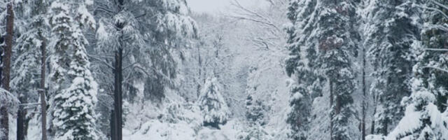 Ватрогасци имали 15 интервенција, екипе упућене у Тршић ради евакуације