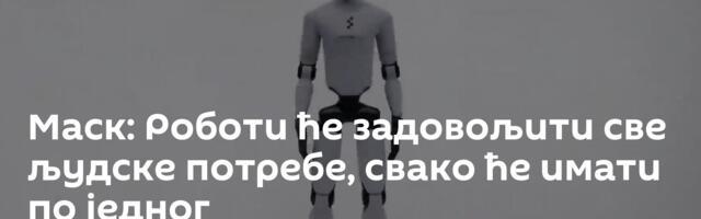 Маск: Роботи ће задовољити све људске потребе, свако ће имати по једног