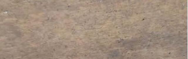 "Jugoslavija je imala kvalitet": Radnik u Austriji pronašao na poslu predmet iz SFRJ i postao hit na mrežama!