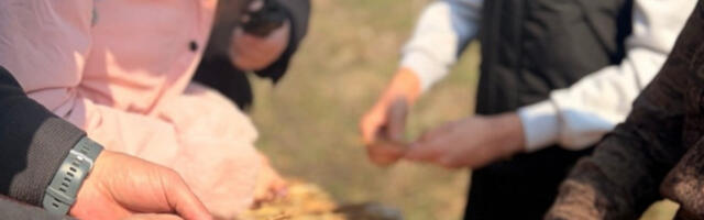 ​Постављени први хотели за опрашиваче широм Србије