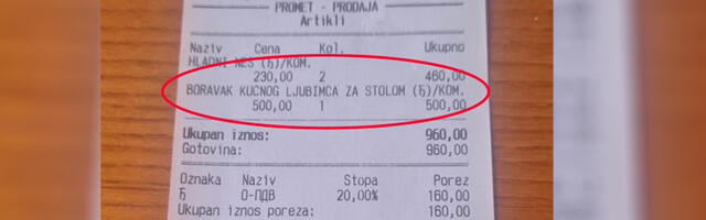 Kućni ljubimac u hotelu za 500 dinara (VIDEO)
