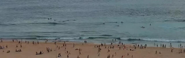 Ljudi u startu nisu bili svesni šta se dešava: Isplivao novi snimak početka masakra u Sidneju (VIDEO)