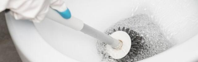 Evo čime se tačno čisti WC šolja: Prljavština će biti kao rukom odnesena i to bez hemikalija