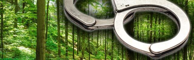 OTKRIVENA SERIJA TEŠKIH KRAĐA U JP "SRBIJAŠUME" Osumnjičeni pričinio materijalnu štetu od 150.000!