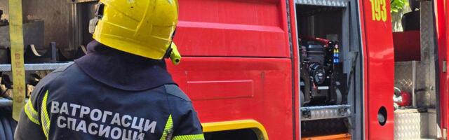 Kulja dim sa Čukaričke padine, izbio požar u blizini bivšeg FMP-a (VIDEO)