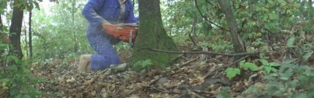 /FOTO/ OVO DO SADA JOŠ NISTE VIDELI! Drvoseča iz Velike Plane svuda ide bos, obuću ne nosi ni zimi!