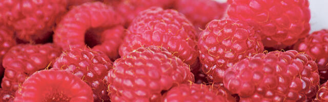 Априлски снег није једини проблем малинара