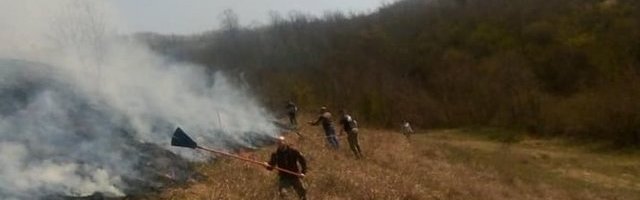 Roštiljali na Fruškoj Gori, pa napravili požar: Puna tri ipo sata trajala borba sa vatrenom stihijom