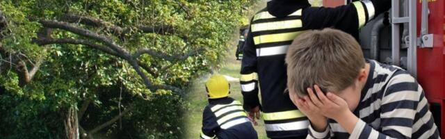 Zapalile su se električne instalacije! Detalji požara u beogradskom vrtiću: Deca su evakuisana!