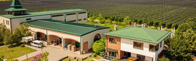 „Full wine experience” na Fruškoj gori