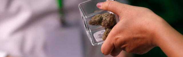 Пала криминална мрежа из Бора, дрога заплењена у Бечу