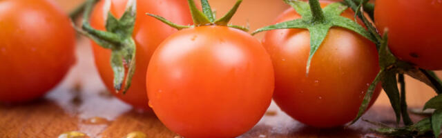 Šta zapravo jedemo kada kupujemo paradajz zimi?