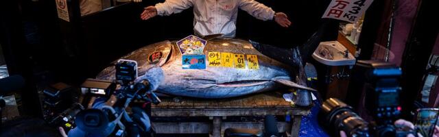 Tuna na aukciji plaćena 2,7 miliona evra