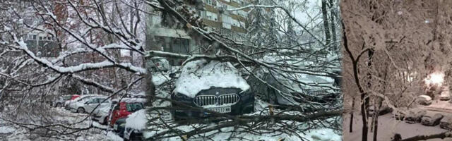 SNEG NAPRAVIO OGROMNU ŠTETU STANARIMA KOD FONTANE: Grane se obrušile na parkirana vozila, OVO JE STRAŠNO! (FOTO)