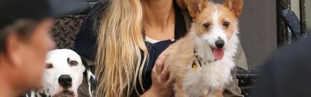 "Pas je ujeo mog sina i to me je navelo da ih sve pobijem...": Poznata glumica zgrozila odlukom koju je donela