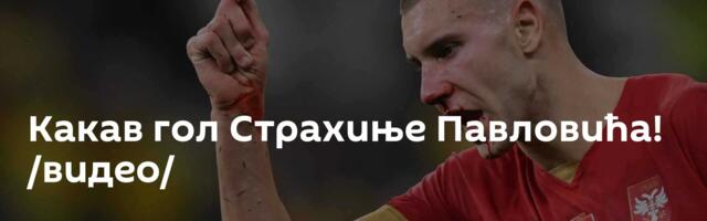 Какав гол Страхиње Павловића! /видео/