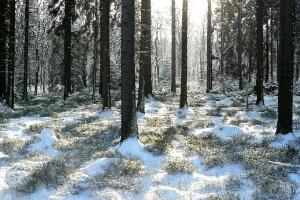 Јутарњи мраз замениће топли ваздух са запада