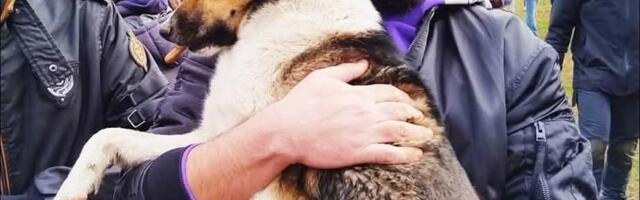 Studenti u Nišu okupili se u znak sećanja na psa Donu, prikupljena i pomoć za životinje