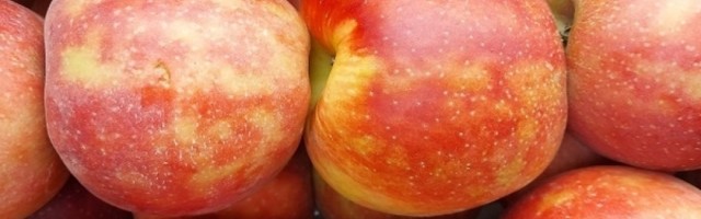 U Beču pronađena jabuka stara 4.000 godina, potpuno različita od onih koje danas jedemo