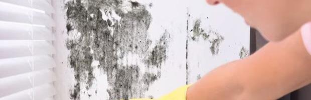 Ne dajte da vas zavaraju: Građevinski inspektor otkrio kako najbrže prepoznati da li u kući ima vlage!