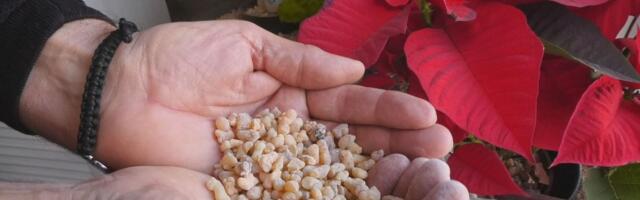 Isus ga je dobio kao jedan od prvih darova, i to ne slučajno: Šta sve može tamjan