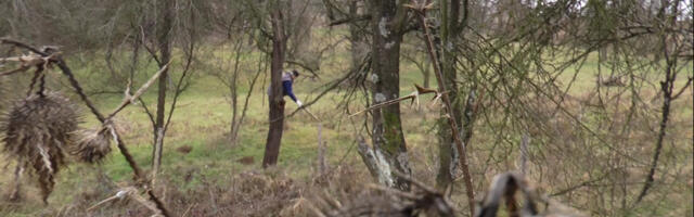 UZNEMIRUJUĆE Meštani Borče zatekli jeziv prizor: Leš pronađen u kanalu, strah od zaraze raste