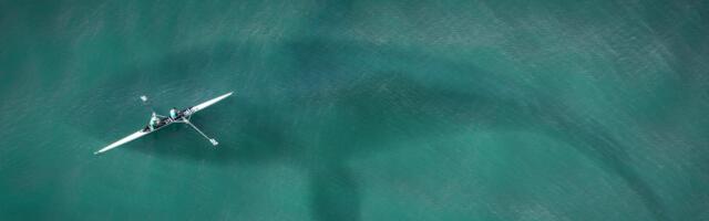 Svetski okeani sve tamniji: Ugrožen živi svet