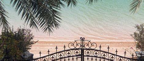 KUPIO MLADU ZA MILION DOLARA, SAD ŽIVE U PALATI Policija ih čuva 24 sata, a vila izlazi na plažu, poznata Srpkinja uživa u bogatstvu (FOTO)