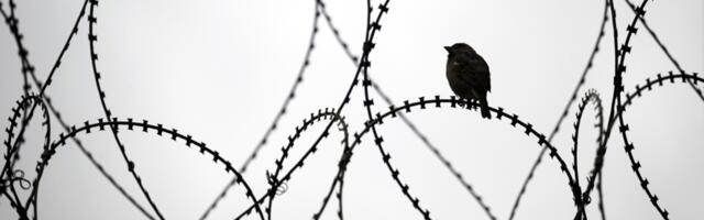 Letonija završila ogradu sa Rusijom: 280 km bodljikave žice na granici