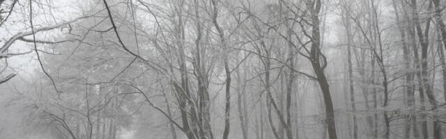 Bajkoviti prizori na srpskoj planini: Zavejalo, a još će padati