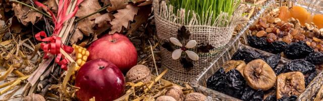 Ovo je najslađi video danas: Dečak je otišao po badnjak i zarobio sva srca!