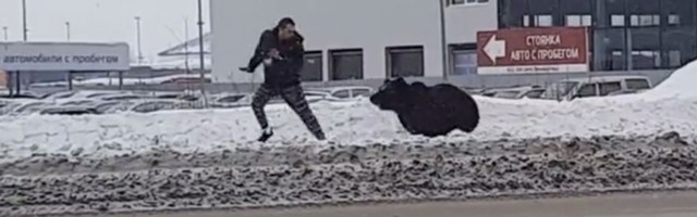 Medved usred grada: Pričaš telefonom kad ono zver (VIDEO)
