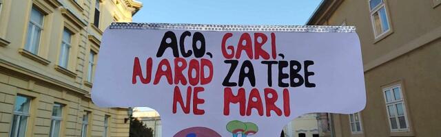 Vučić: Blokaderske liste favoriti, stranci se mešaju u izbore