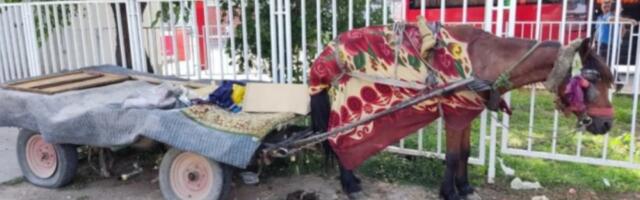 Krvnički je pretučena, ali je preživela: Sećate se Aurelije?