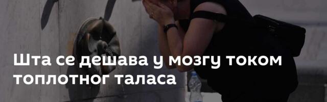 Шта се дешава у мозгу током топлотног таласа