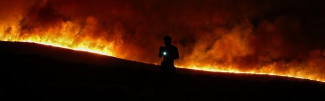 Hiljade ljudi i desetine letelica gase velike požare u Turskoj (VIDEO)
