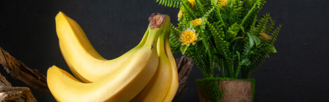 Tri namirnice koje će vratiti život vašem omiljenom cveću