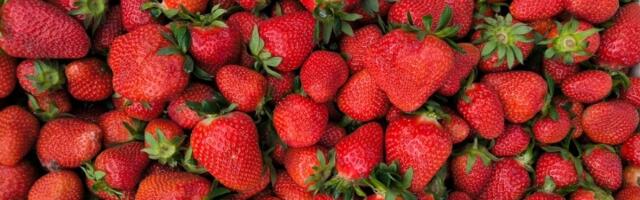 Stigle su prve jagode: Cena ostavila kupce bez reči