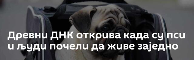 Древни ДНК открива када су пси и људи почели да живе заједно