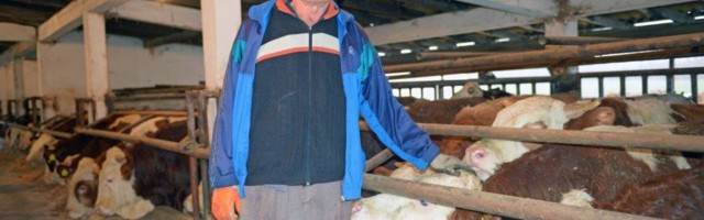 Posle poplava u Obrenovcu povećan broj osiguranika u „Dunavu“