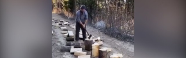 Moderni drvoseča: SVE PUCA kad on seče panjeve (VIDEO)