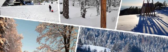 Top 5 najboljih planina u Srbiji za porodični odmor