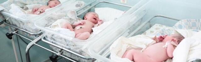 BORILA SE SA STERILITETOM 16 GODINA! Anita iz Vlasotinca donela na svet tri dečaka!