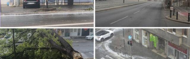 DRVO VAM UNIŠTILO AUTO, USEVI STRADALI, STOKA UGINULA? Evo ko i kako ima pravo na odštetu