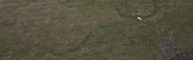 Misteriozna pojava kod Kosjerića: "Za nekoliko dana formiraće se pun krug, a šta se tu dešava, niko ne zna..."