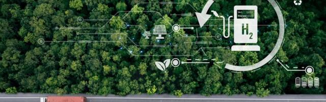 Đedović: Srbija se priprema za primenu zelenog vodonika u industriji i transportu